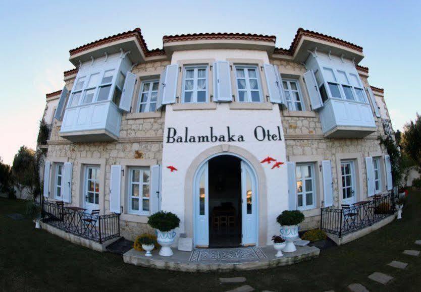 Balambaka Hotel - 알라카티 외부 사진